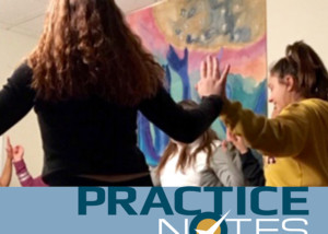 Preview of Practice Notes #35 cover