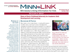 Minn-Link Research Brief Number 60. Risks of Early Childhood Adversity for Academic Skill Development and Learning